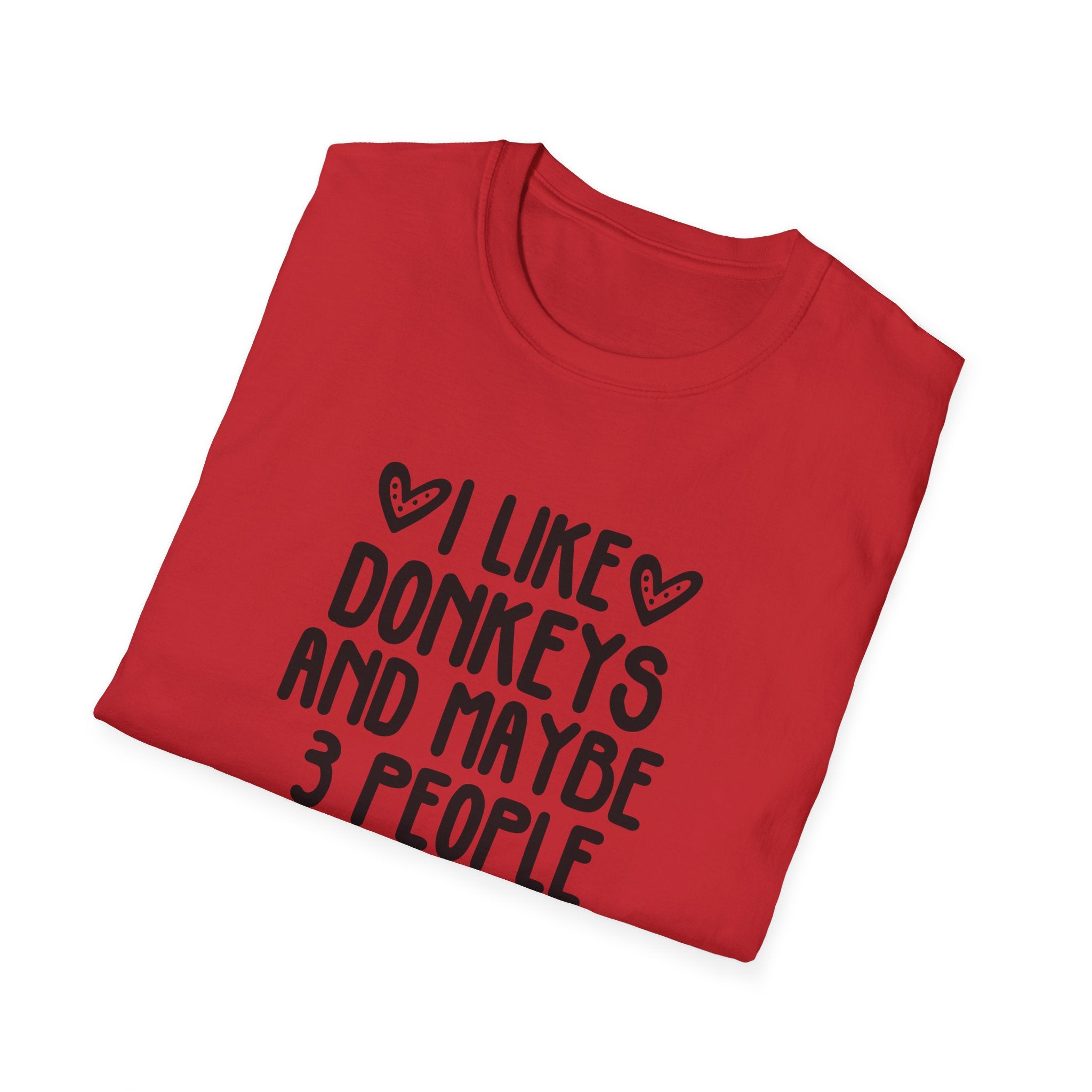 I Like Donkeys And Maybe 3 People T-Shirt — Funny Donkey Lover Tee
