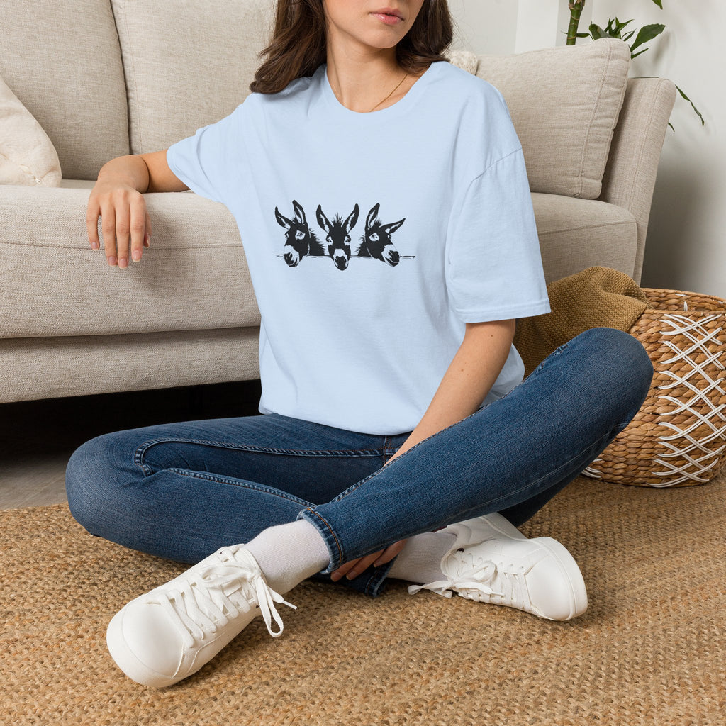 Three Donkeys Tee — Cute Farm Animal Graphic T-Shirt